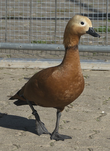 解决