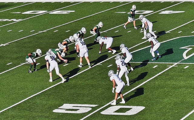 由浓眉领导 由浓眉领导