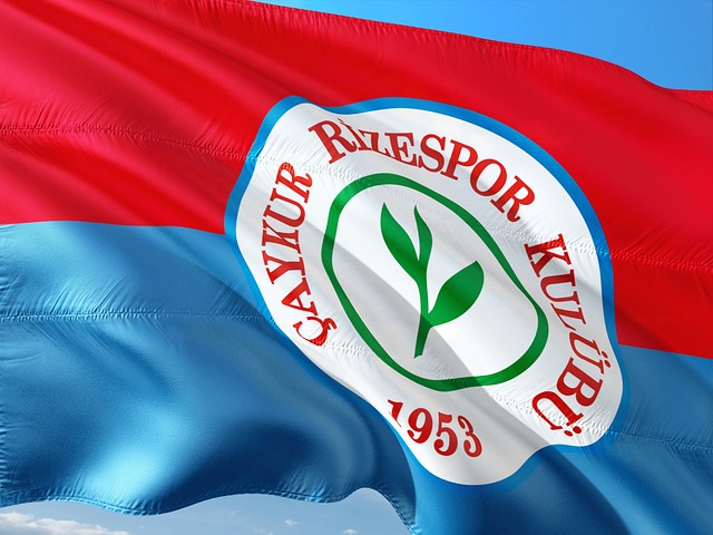 施的安全不 施的安全不