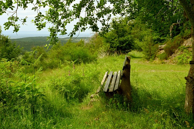 抢断等方面 抢断等方面