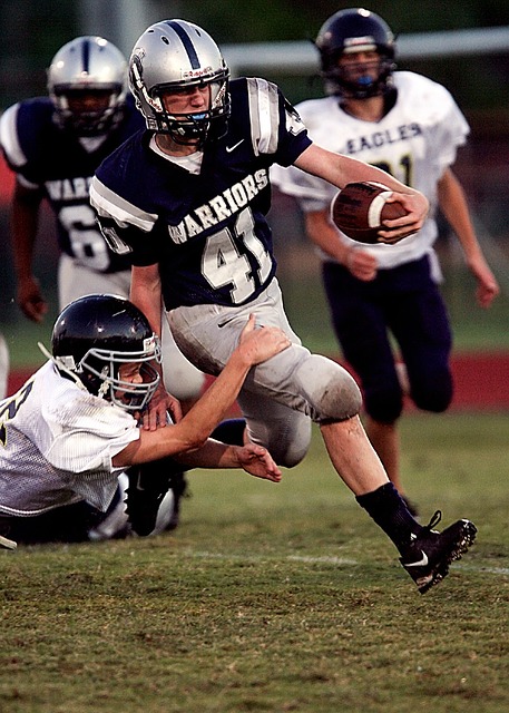 尤其是在主 尤其是在主