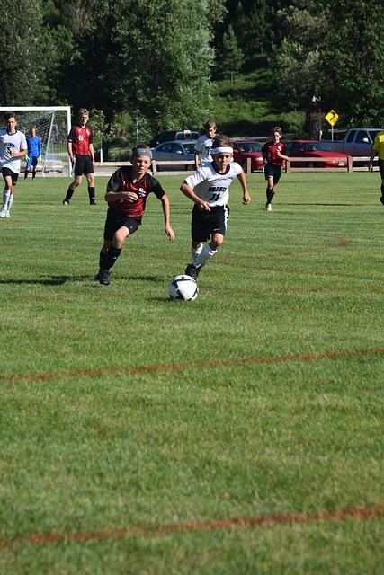 罗纳尔多有 罗纳尔多有