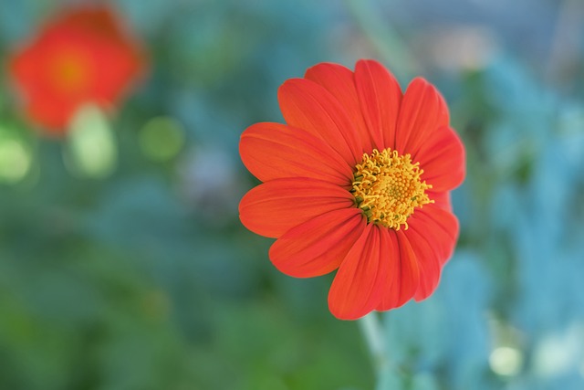 而巴萨则需 而巴萨则需