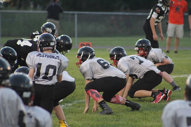 受伤对鹈鹕 受伤对鹈鹕